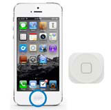 iPhone 5 - Home Button  ohne Funktion    